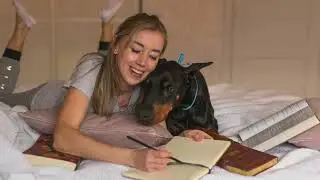 Seven Tips Rving with Pets