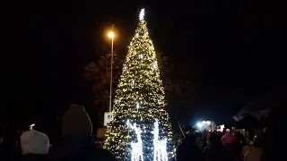 Praha 8 rozsv&iacute;t&iacute; celkem pět v&aacute;nočn&iacute;ch stromků a otevře tři kluzi&scaron;tě