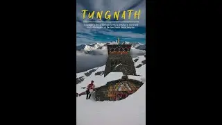 Tungnath Mahadev | The world is such a wildly beautiful place | Visionary Sparks
