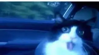 Blue Cat - Vs FrostFireGM200 Remastered OST