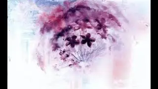 Gai Barone  - Patterns 491