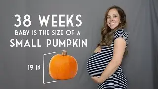 Adorable Pregnancy Time lapse - Baby Number 4!