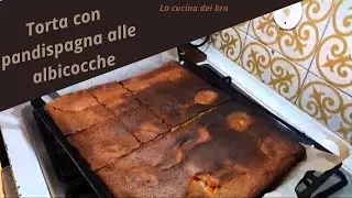 torta al pandispagna con le albicocche - la cucina dei bro