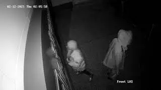 Criminal Damage, Stranmillis, Belfast &ndash; 2nd December 2021