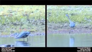 Swarovski ATX 85 vs 95 Digiscope Comparison