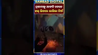 Rayagada: Prabhas Fans Create Chaos During Movie Screening || Odisha || Sambad