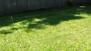 Vlogging Grebig: Progress of the new Shack