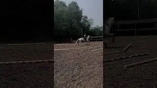 ￼Алтай так красиво ножки переставил #equestriangirl #equestrian #horse #pony #riding #eventing
