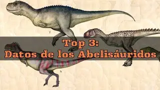 Top 3: Interesting Facts about Abelisaurids