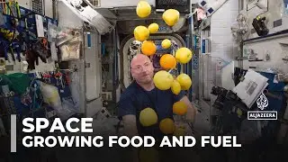 Scientists launch mission to test growing food and fuel in space