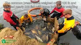 Relief Channel Fisheries Monitoring 2017