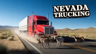 You&rsquo;ll Never Guess What Roams the Streets of Beatty, Nevada