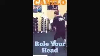 Canelo training on the Aqua Head Hunter. Get yours here www.aquatrainingbag.com