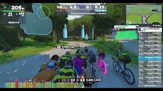 250214 Zwift - Group Ride: 사일런스 X JCS CLUB EVENT RACE on Sugar Cookie in Watopia