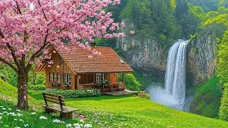 Music heals the heart and mind 🍀 Nature sounds help reduce stress and promote deep sleep.