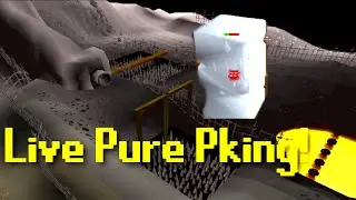 Live Pure Pking in the Deep Wilderness!