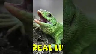 GAME Vs. REAL LIFE Characters Comparison - ZOONOMALY (4K Showcase)