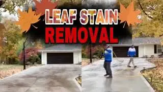 Leaf Stain Soft Wash Cleaning