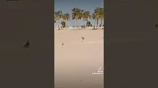 see the beautiful view of Marina Beach, Kuwait