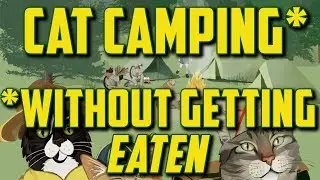 Cat Scout Merit Badge Training: CAMPING