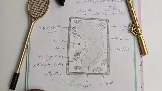تعلم رسم الخلية النباتية / أحياء السادس علمي