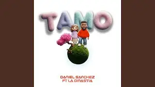 T A M O