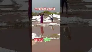 How is salt made? How is salt cultivated? #namak #viral #youtubeshorts #shorts #kishan #health