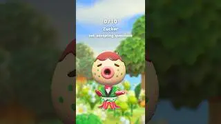Рейтинг жителей деревни в Animal Crossing, часть 1 #acnh