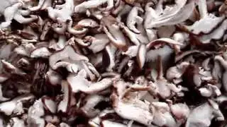 mushroom slicer 0086-13939083413