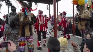 Obiceiuri de iarna - Căluţul din Dealu 2013-2014