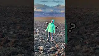 Can you relate? #lost #view #mountin #hiking #trail #gnome #shorts #funny