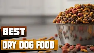Dry Dog Food : Incredible Dry Dog Foods In 2026