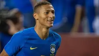 Richarlison●Best Goals & Skills●(2015-2019)●HD