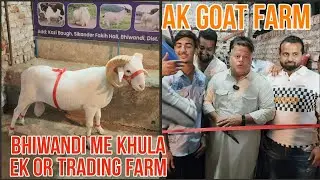 AK GOAT FARM TOP QUALITY MANDE BHIWANDI KA NAYA TREADING SETUP @msqvlogs5186