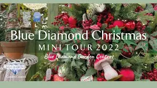 Christmas at Blue Diamond Garden Centres 2022 - Mini Tour