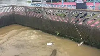 Adventure Archives: Amazon Fishing