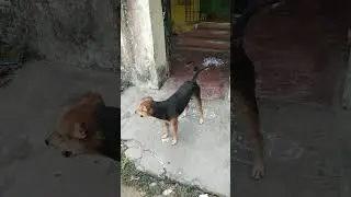 RAAJAAVUKKU RAAJAA