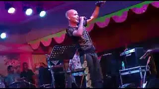 MARK ELVIN  live performance
