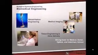 Biological Systems Engineering - Mark Riley