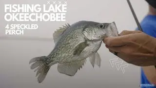Holy CRAPPIE!! Multiple Speckled Perch Limits on Lake Okeechobee with a LEGEND! Thick Fog!