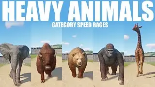 Heavy Animals Category Races in Planet Zoo included Bison, Bear, gorilla, Giraffe and Elephant