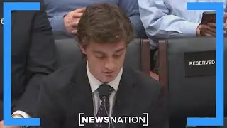 Lawmakers question Nick Shirley, investigators about Minnesota fraud | NewsNation Live