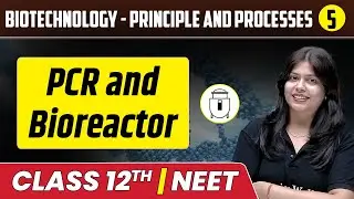 Biotechnology - Principle and Processes 05 | PCR and Bioreactor | Class 12th/NEET