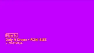 Roni Size - Only a Dream