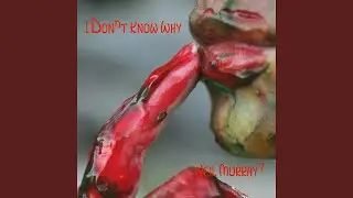 I Don't Know Why