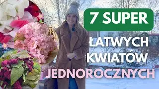 7 SUPER ODMIAN KWIATÓW JEDNOROCZNYCH, KTÓRE WYSIEJESZ SAMA