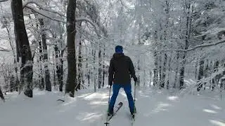 Skibce zjazd Pumki