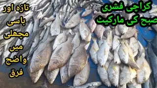 Karachi fishrey | How to know Fish is Fresh | Fish Tips Before Buying.