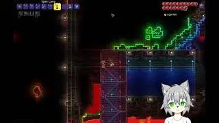 Co-Op Suffering【Terraria 1.4.5 Zenith】