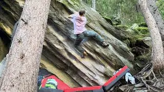 Jack the Chipper 7C - Magic Wood